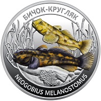 Реверс монети Бичок-кругляк (Neogobius melanostomus)