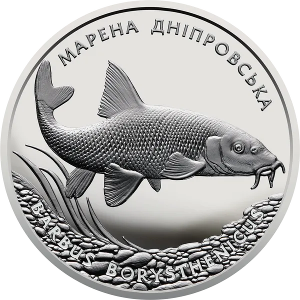 Реверс монеты Днепровский усач (Barbus borysthenicus)