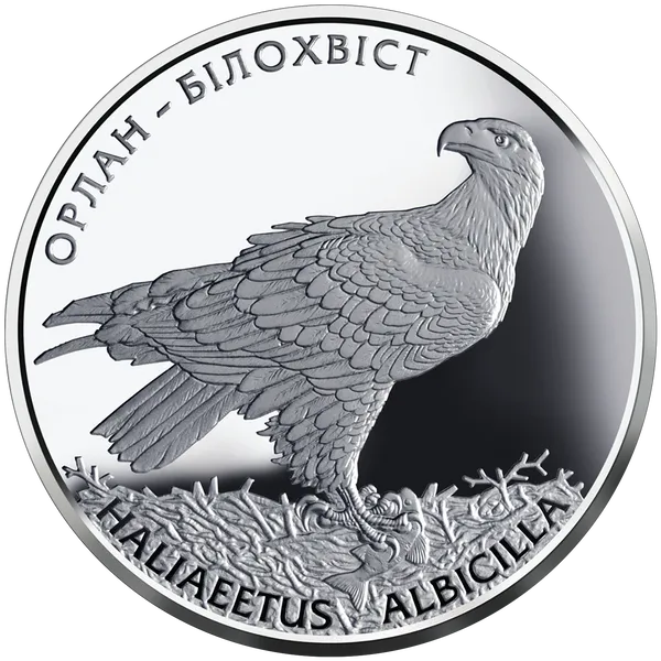 Coin reverse The White-Tailed Eagle