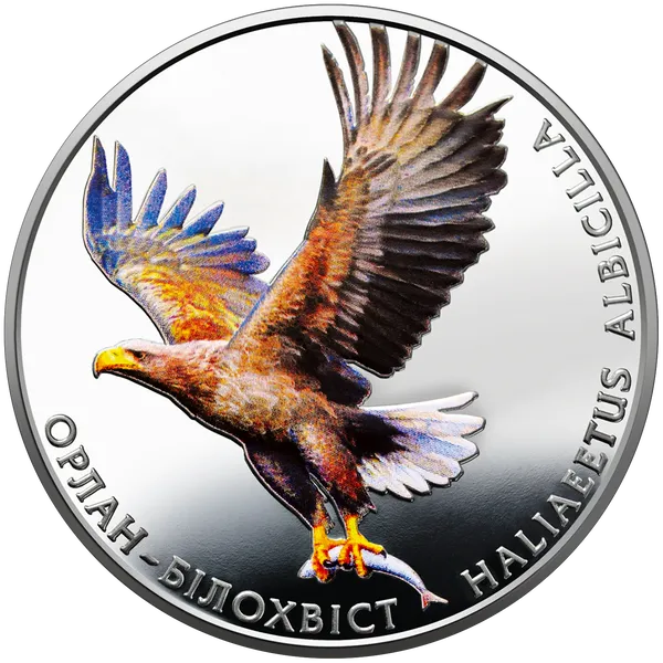 Coin reverse The White-Tailed Eagle