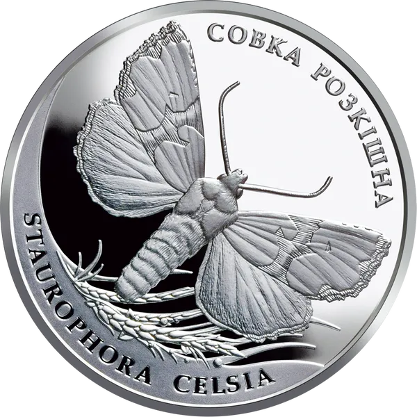 Совка Розкішна 1