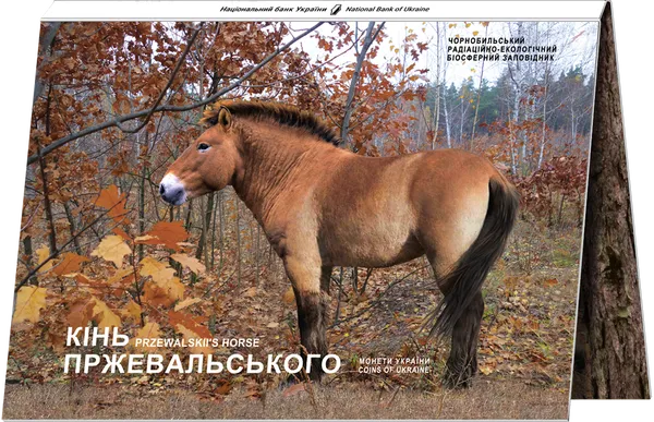 Аверс монети Чорнобиль. Відродження. Кінь Пржевальського у сувенірній упаковці