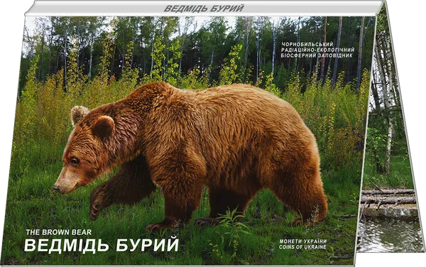 Ведмідь Бурий. Монета НБУ 2