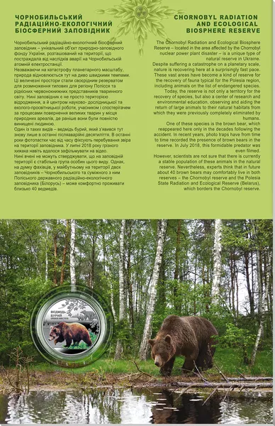 Ведмідь Бурий. Монета НБУ 1