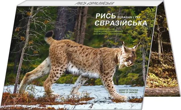 Чорнобиль. Відродження. Рись євразійська (у сувенірній упаковці) 2