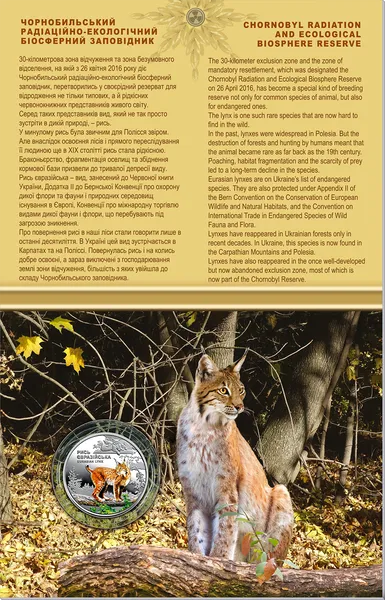 Чорнобиль. Відродження. Рись євразійська (у сувенірній упаковці) 1