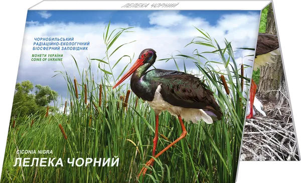 Аверс монеты Чернобыль. Возрождение. Аист черный в сувенирной упаковке