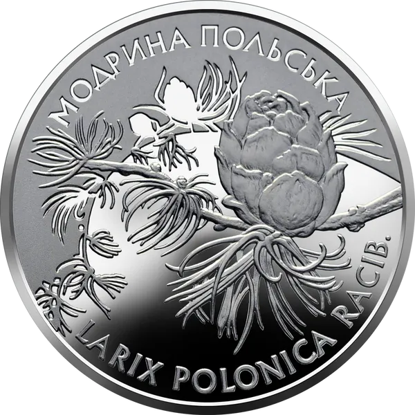 Coin reverse Polish Larch (LARIX POLONICA RACIB)