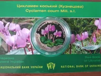 Сувенирная упаковка для монеты "Цикламен коський (Кузнецова)"