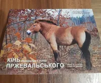 Продам пам'ятну монету Чорнобиль. Відродження. Кінь Пржевальського у сувенірній упаковці (нейзильбер), 2021 р.