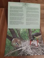 Продам пам'ятну монету Чорнобиль. Відродження. Лелека чорний у сувенірному пакованні (нейзильбер), 2024 р.